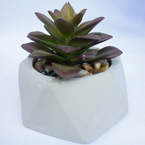 Artificial Plastic Mini Succulent Plants For Desktop Decoration 10CM